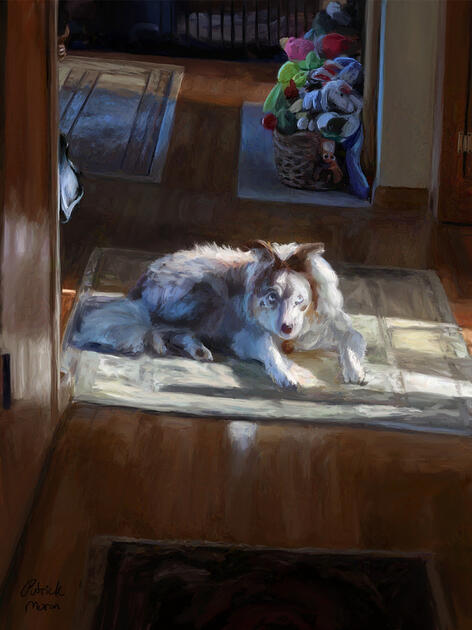 Chloe, in Dawn's Light. (September 2024)