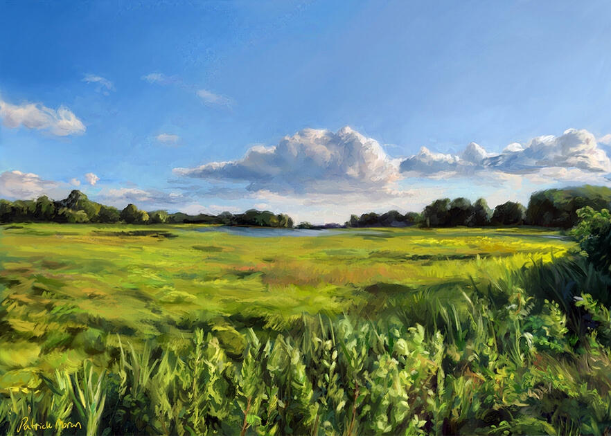 Milford Gulf Pond (September 2024)